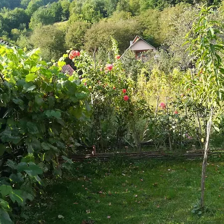 펜션 Casa Simona *